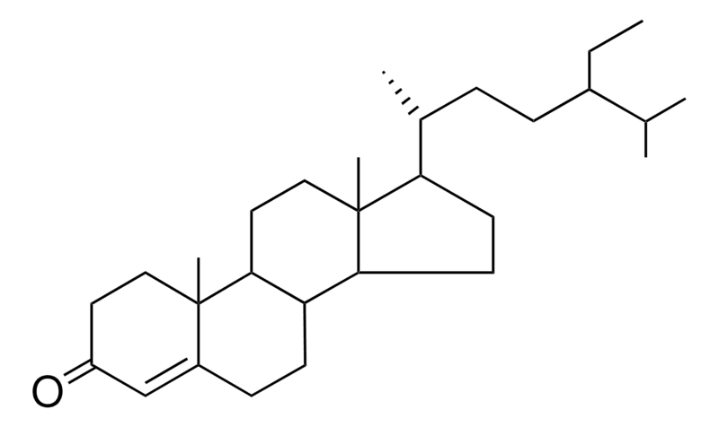 Merck STIGMAST-4-EN-3-ONE-