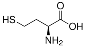 Merck L-HOMOCYSTEINE