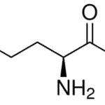 Merck L-HOMOCYSTEINE