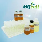 Kisanbio TSB (Tryptic Soy Broth) 9ml Tubes / MB-T1053-T50