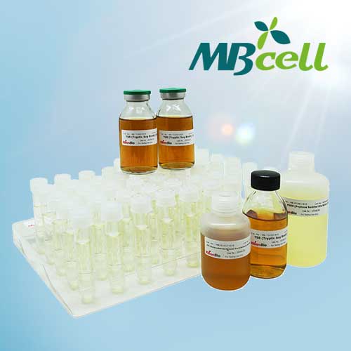 Kisanbio Buffered peptone Water