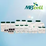 Kisanbio MBcell Murashige & Skoog Macronutrient Salt Mix