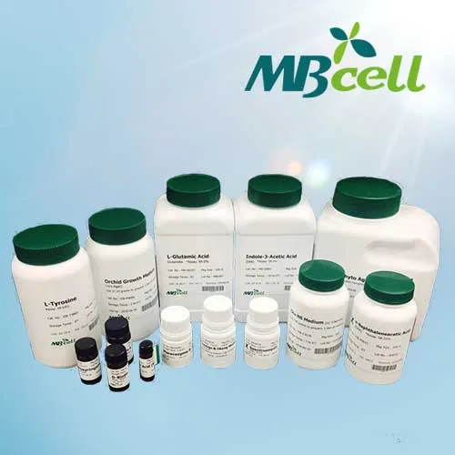 Kisanbio DMSO (Dimethyl Sulfoxide)