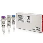 Thermo Fisher Scientific Platinum II Taq Hot-Start DNA Polymerase, 100 reactions