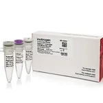Thermo Fisher Scientific Platinum II Hot-Start PCR Master Mix (2X), 50 reactions