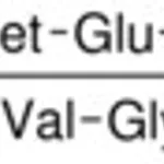 Merck ADRENOCORTICOTROPIC HORMONE FRAGMENT 1-&