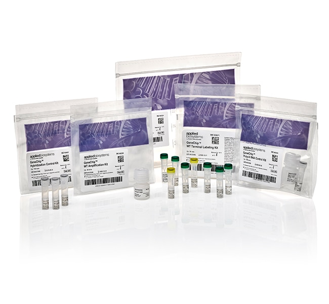 Thermo Fisher Scientific GeneChip HT WT PLUS Reagent Kit