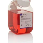 Thermo Fisher Scientific Human Vascular Smooth Muscle Cell Basal Medium (formerly Medium 231)