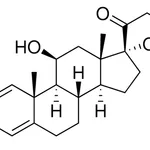 Merck PREDNISOLONE VETRANAL, 250 MG
