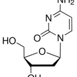 Merck 2``-DEOXYCYTIDINE