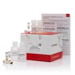 Thermo Fisher Scientific ChargeSwitch gDNA Mini Tissue Kit