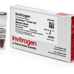 Thermo Fisher Scientific DynaGreen Protein A/G Magnetic Beads, 0.5 mL, 20 rxns