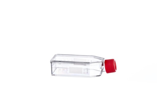 Greiner Bio One CELL CULTURE FLASK, 50 ML, 25 CM², PS,CELLCOAT®, LAMININE, RED FILTER SCREW CAP, 5 PCS./BAG