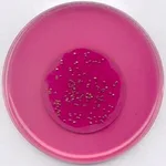 Merck m-Endo Agar LESNutriSelect Plus