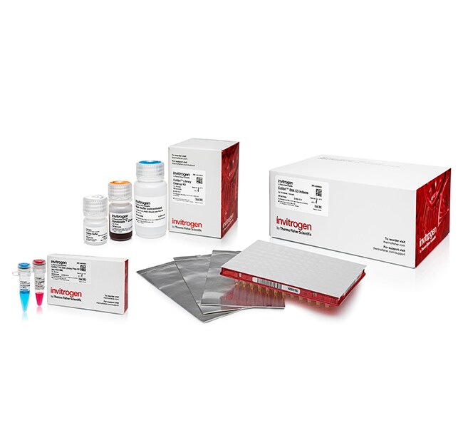 Thermo Fisher Scientific Collibri PCR-free PS DNA Library Prep Kit for Illumina Systems, with CD indexes, 24 preps