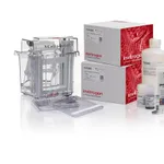 Thermo Fisher Scientific NuPAGE WedgeWell Tris-Acetate XCell SureLock Mini-Cell Welcome Pack, 3 to 8%, 10-well, 1 Welcome Pk. kit