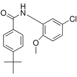 Merck 4-TERT-BUTYL-N-(5-CHLORO-2-MET - 50 MG&