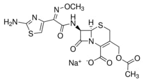 Merck CEFOTAXIME SODIUM