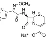 Merck CEFOTAXIME SODIUM