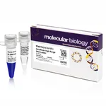 Thermo Fisher Scientific GeneRuler High Range DNA Ladder, 50 ug