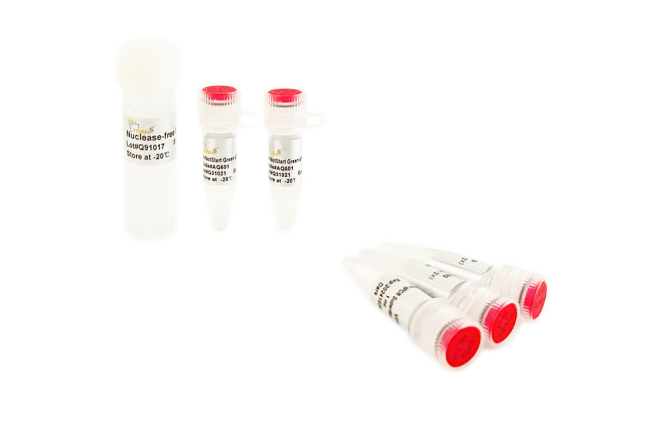 PerfectStart® Green qPCR SuperMix