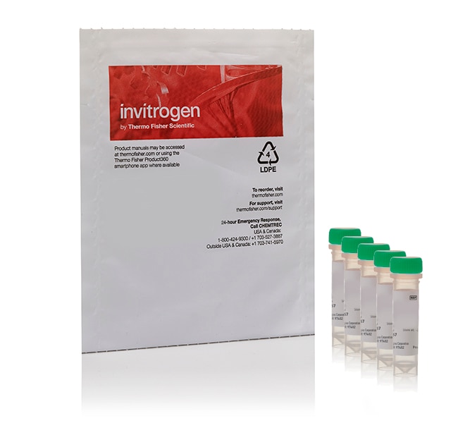 Thermo Fisher Scientific CellROX Green Reagent, for oxidative stress detection