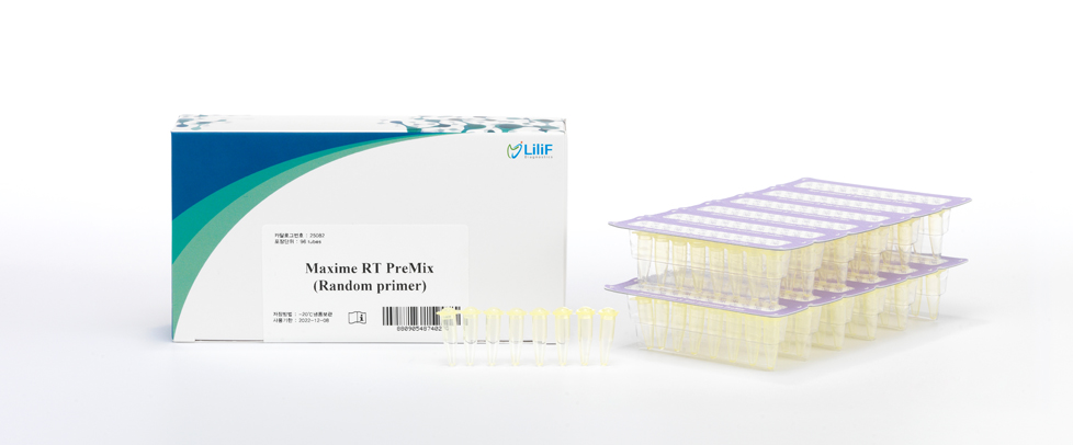 Intron Maxime™ RT PreMix (Random Primer)