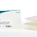 Intron Maxime™ RT PreMix (Random Primer)