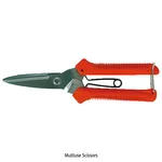 Daihan Science 다용도 가위, Multiuse Scissors, Stainless-Steel
