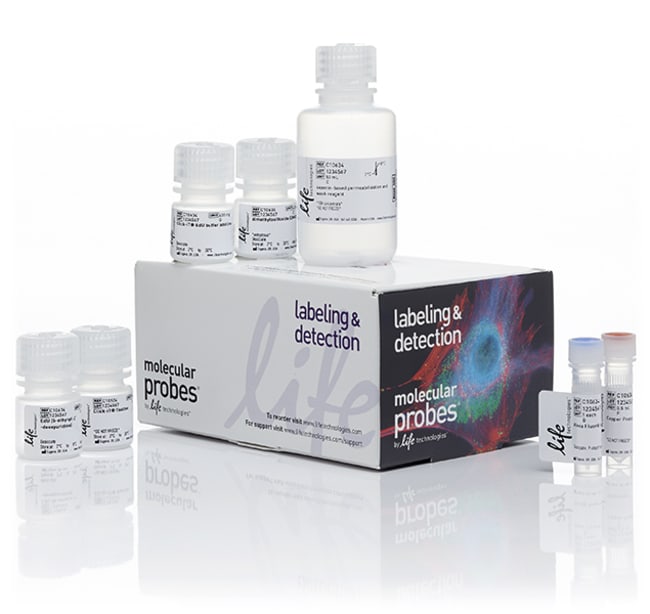 Thermo Fisher Scientific Click-iT Plus EdU Alexa Fluor 647 Flow Cytometry Assay Kit, 50 rxn(s)
