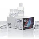 Thermo Fisher Scientific Click-iT Plus EdU Alexa Fluor 647 Flow Cytometry Assay Kit, 50 rxn(s)