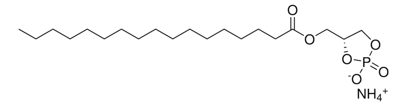 Merck 17:0 Cyclic LPA