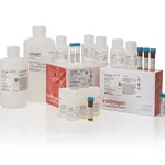 Thermo Fisher Scientific ViewRNA Tissue Assay Core Kit
