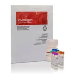 Thermo Fisher Scientific Amplex Red Galactose/Galactose Oxidase Assay Kit