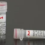 Merck ESIRNA HUMAN CRKL