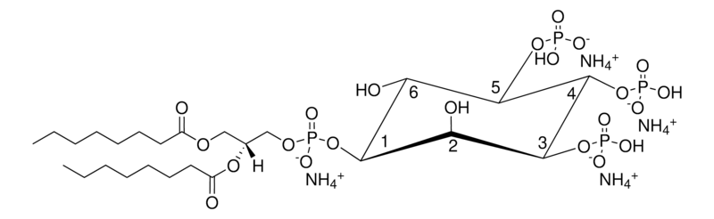 Merck 08:0 PI(3,4,5)P3