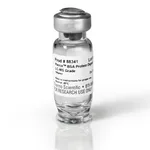 Thermo Fisher Scientific Pierce BSA Protein Digest, MS grade