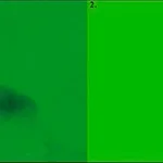 Merck FIBRONECTIN-FITC SUITABLE FOR CELL CULTU