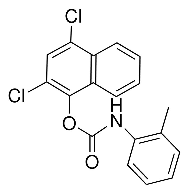 Merck 2,4-DICHLORO-1-NAPHTHYL N-(O-T - 50 MG&