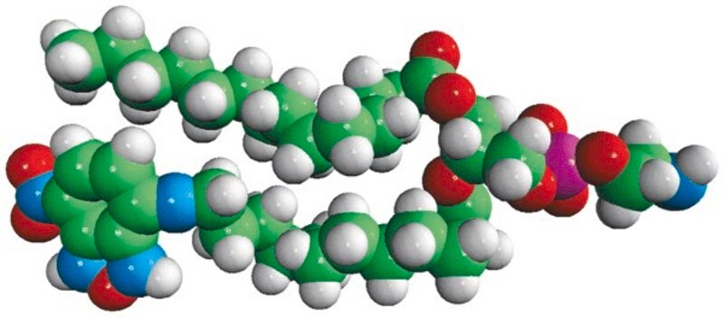 Merck 14:0-12:0 NBD PE