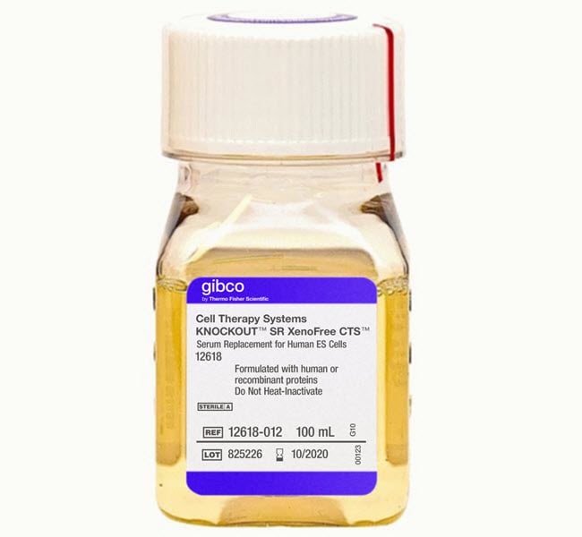 Thermo Fisher Scientific CTS KnockOut SR XenoFree Medium, 100 mL