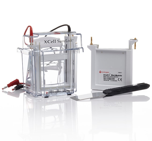 Thermo Fisher Scientific XCell SureLock Mini-Cell and XCell II Blot Module