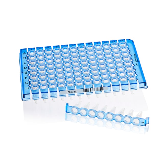 Thermo Fisher Scientific Armadillo PCR Strip Plate, 96 well, blue