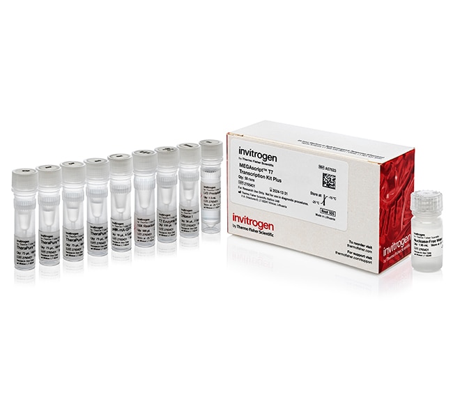 Thermo Fisher Scientific MegaScript T7 Transcription Kit Plus, 50 reactions