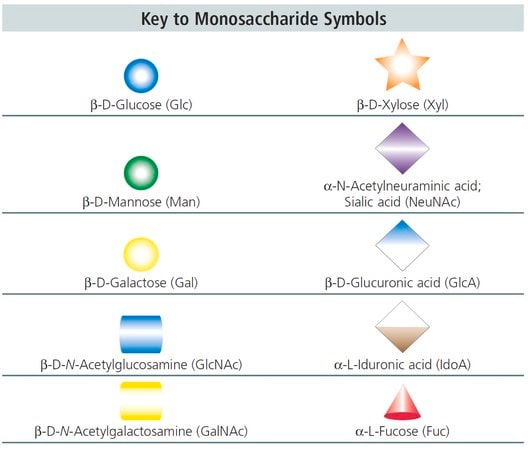Merck 3'-Sialyl-Lewis-X tetrasaccharide