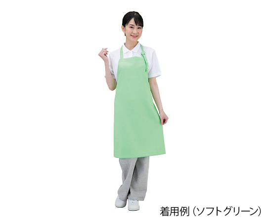 AS ONE Antiviral Apron (Dr. Earth®), 항바이러스 앞치마