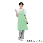 AS ONE Antiviral Apron (Dr. Earth®), 항바이러스 앞치마