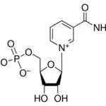 Merck B-NICOTINAMIDE MONONUCLEOTIDE
