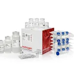 Thermo Fisher Scientific PureLink Expi Endotoxin-Free Maxi Plasmid Purification Kit, 10 Preps