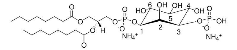 Merck 08:0 PI(3)P
